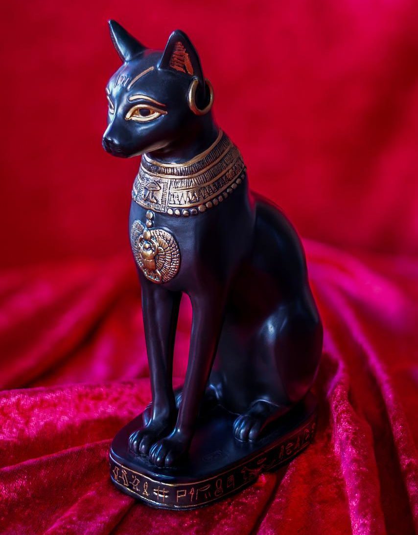 Gatos Egípcios: Saiba o Motiva da Adoração no Antigo Egito
