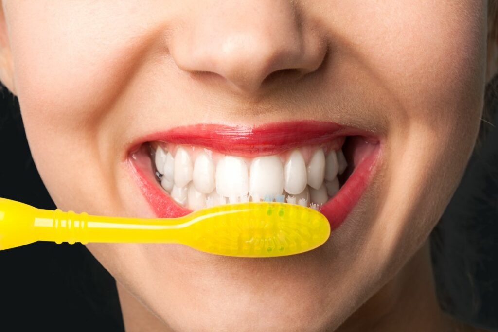 Quantos Dentes Temos na boca