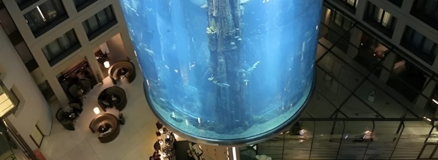 AquaDom