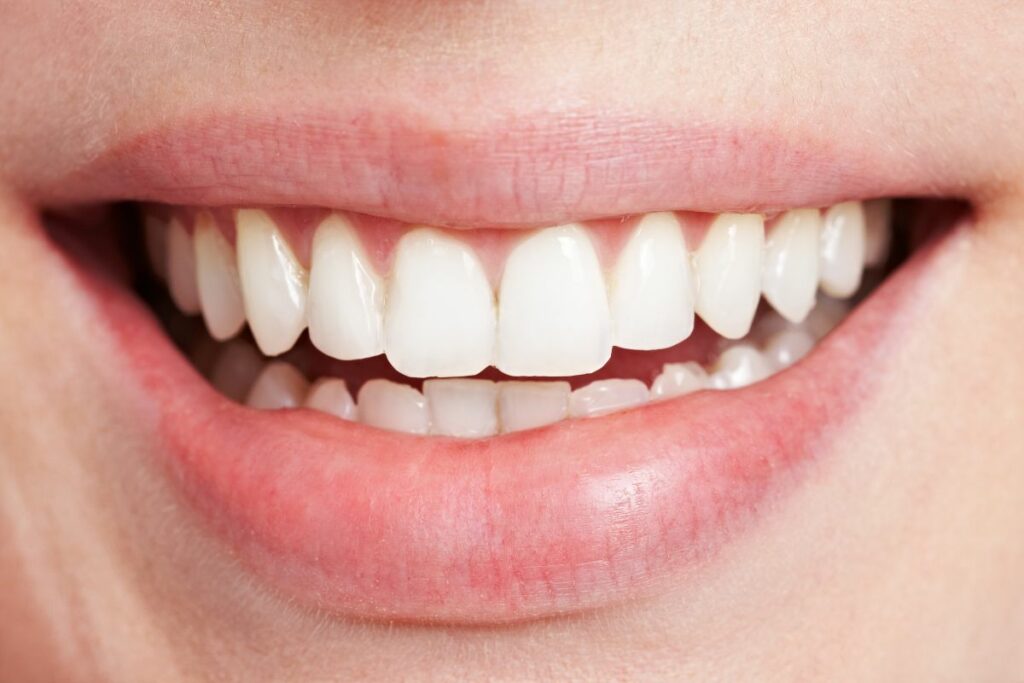 Quantos Dentes Temos na boca