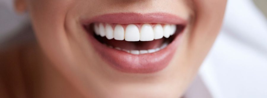 Quantos dentes temos na boca