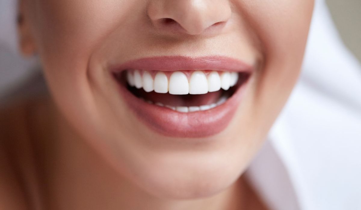 Quantos dentes temos na boca