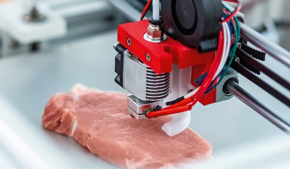 carne impressora 3d